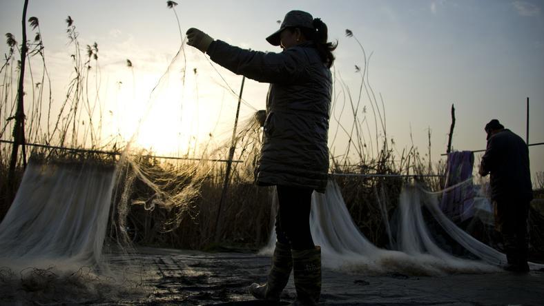 长江禁渔三年后,“江上渔歌”何处安放?